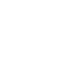 Same Day Delivery